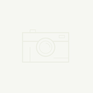 丰富的合作经验